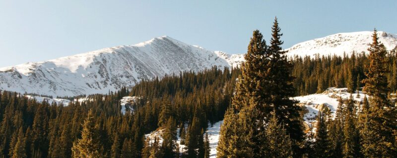Snowy peaks and pine trees